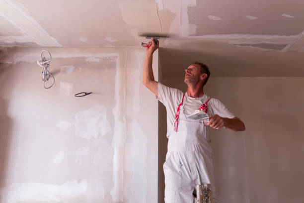 Best Drywall Sanding and Smoothing  in Neffs, OH